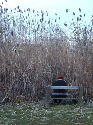 alone.jpg