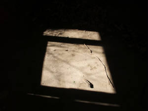 window.jpg